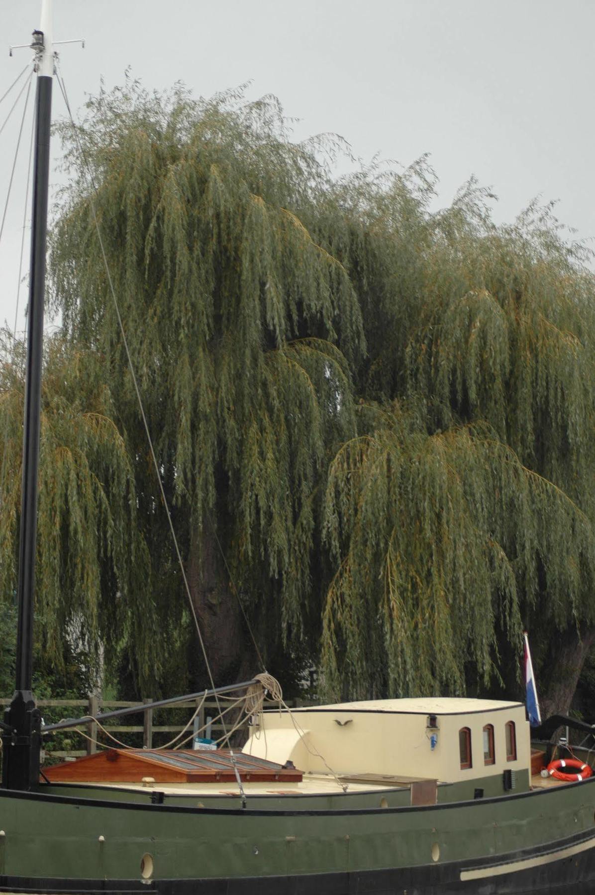 Hotel Barge Waternimf Ely Exterior foto